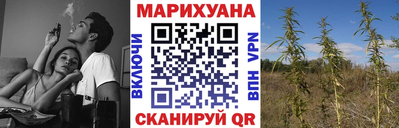 Бошки Шишки White Widow где купить наркоту Кандалакша
